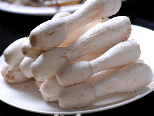 工厂化杏鲍菇栽培